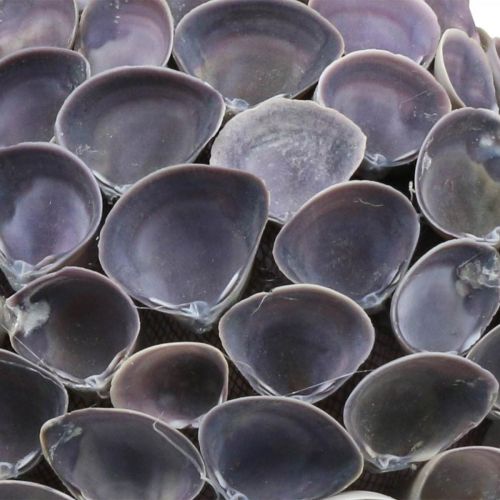 Itens Bola de conchas Decoração marítima com conchas Bola Deco violeta Ø12cm