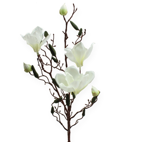 Floristik24 Creme de ramos de magnólia artificial 90cm