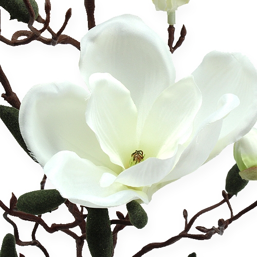 Floristik24 Creme de ramos de magnólia artificial 90cm