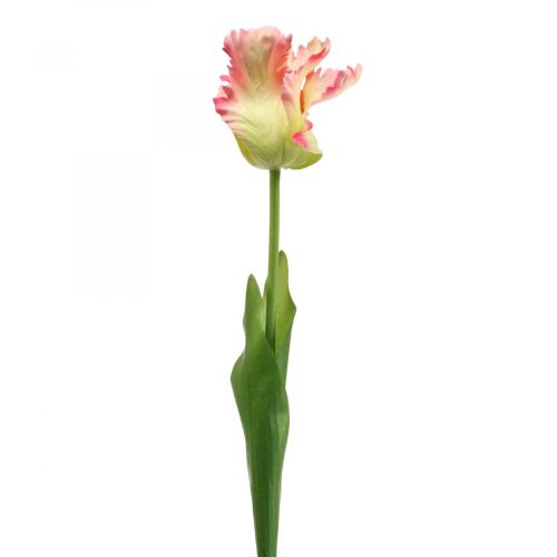 Floristik24 Flor artificial, papagaio tulipa rosa, flor de primavera 63cm
