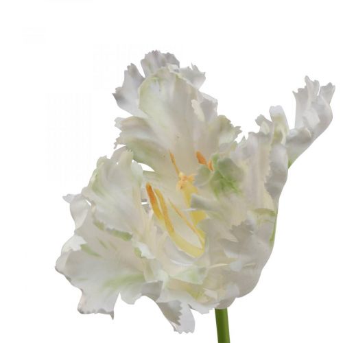 Floristik24 Flor artificial, papagaio tulipa verde branco, flor de primavera 69cm