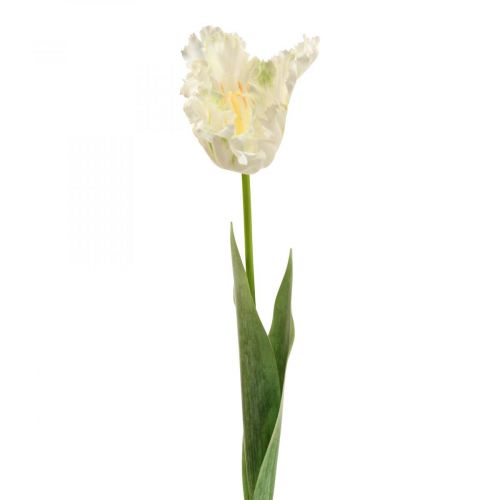 Floristik24 Flor artificial, papagaio tulipa verde branco, flor de primavera 69cm