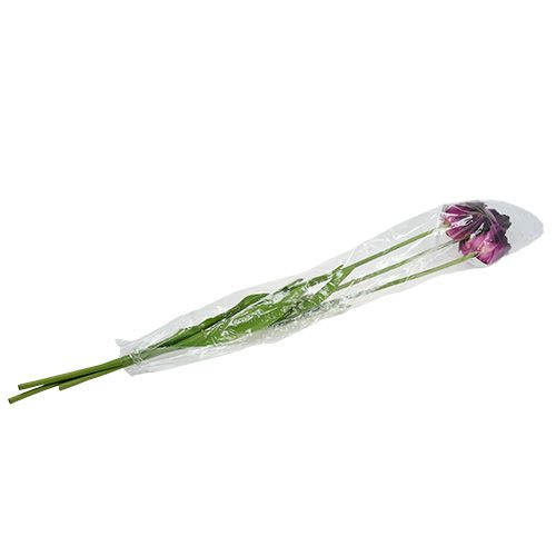 Floristik24 Flores artificiais tulipas roxo-verde 84 cm - 85 cm 3 unidades