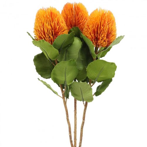 Floristik24 Flores artificiais, Banksia, Proteaceae Laranja C58cm Alt.6cm 3 unid.