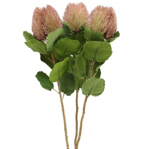 Floristik24 Flores Artificiais, Banksia, Proteaceae Branco-Roxo L58cm A6cm