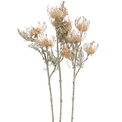 Flores Artificiais, Flor Alfineteira, Leucospermum, Proteaceae Lavado Branco L58cm 3pcs