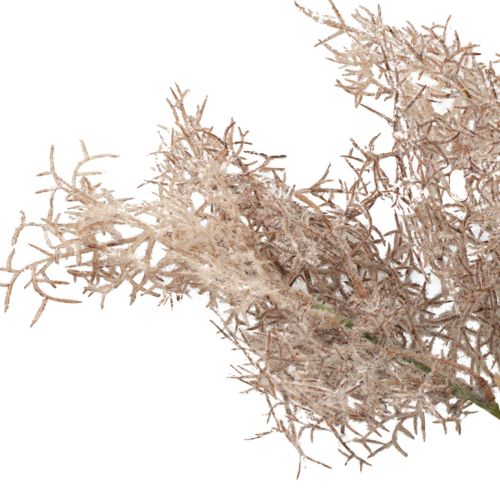 Floristik24 Decoração com flores artificiais, ramo de coral, ramos decorativos branco castanho 40cm 4 peças