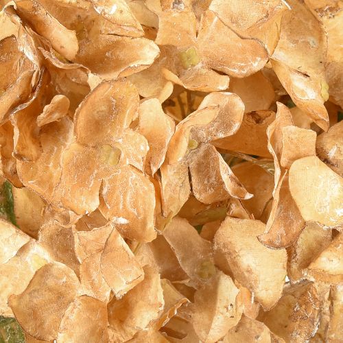 Itens Hortênsia artificial seca decoração de outono Drylook L33cm