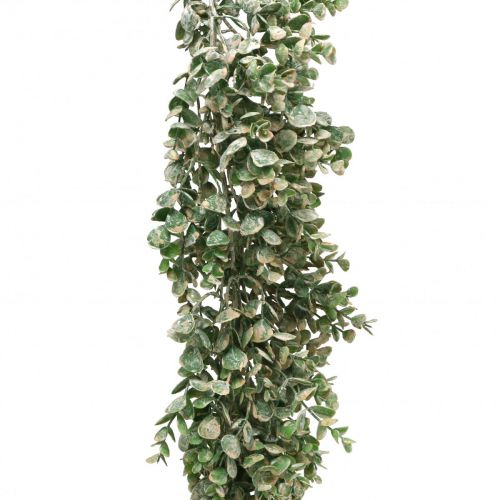 Floristik24 Guirlanda de buxo artificial verde branco lavado L148cm