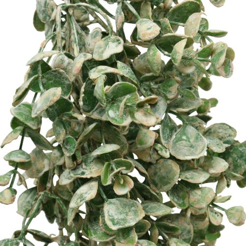Floristik24 Guirlanda de buxo artificial verde branco lavado L148cm
