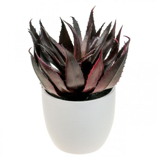 Floristik24 Planta Artificial de Aloe Vera em Vaso Planta Decorativa Verde Alt.20cm