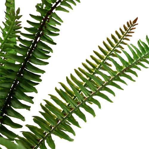 Floristik24 Samambaia artificial verde escuro 45 cm