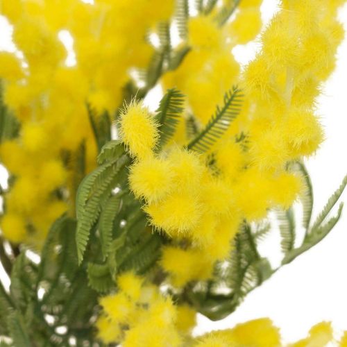 Floristik24 Planta artificial, acácia prateada, amarelo deco mimosa, 39cm 3uds