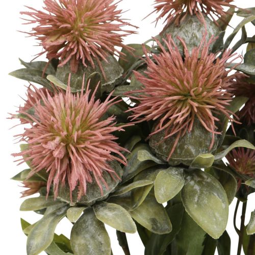 Floristik24 Plantas artificiais cártamo cardo ramo cardo rosa 4 peças