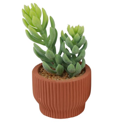 Itens Plantas Artificiais Cacto Suculento Planta Verde Artificial 14,5/15,5cm 2pcs