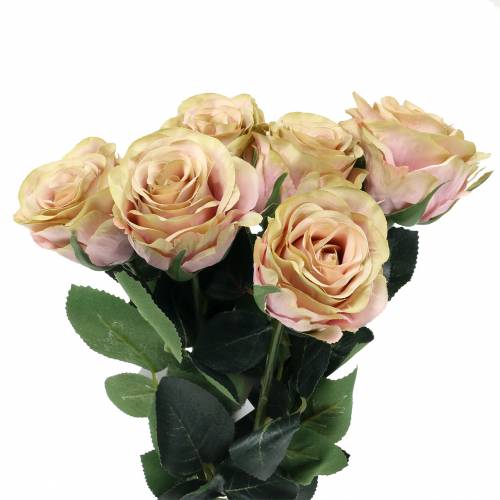 Floristik24 Creme recheado com rosa artificial, rosa Ø6cm C37cm 6pcs