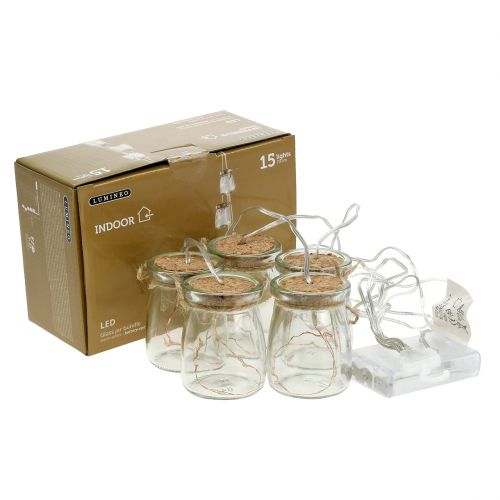 Floristik24 Corrente de luz LED em vidro branco quente 70cm 15 luzes