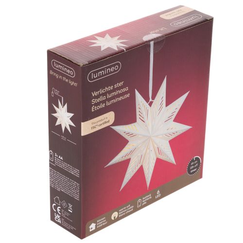 Estrela de Natal decorativa em