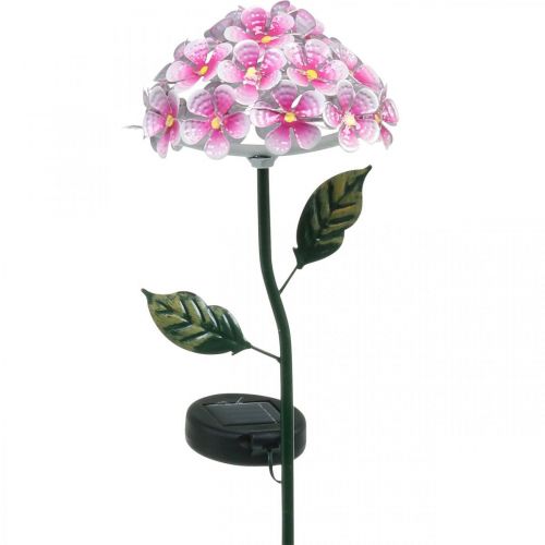 Floristik24 Flor solar, decoração de jardim LED, crisântemo decorativo rosa L55cm Ø15cm