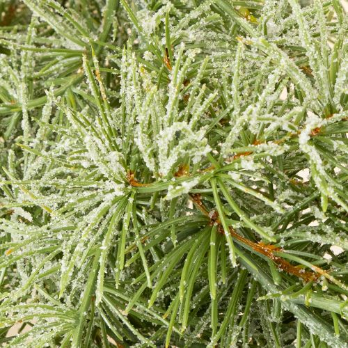 Itens Guirlanda decorativa de lariço para decoração de ambientes aconchegantes, 250 cm