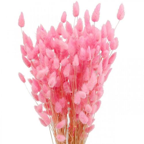 Itens Lagurus Grama Rabo de Coelho Seco Rosa 65-70cm 100g