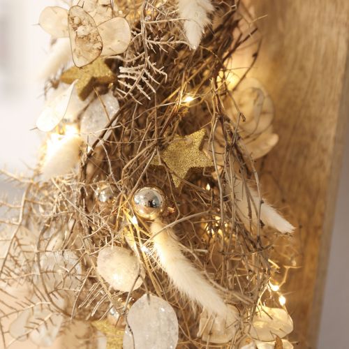 Flores Secas Lagurus Natural – Capim Rabo de Coelho Fofo em Creme-Branco 55-70cm 100g | Floristik24.pt