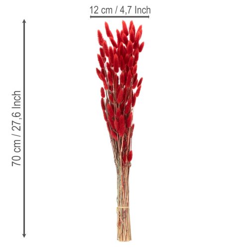 Ramo de flores secas Lagurus, decoração floral, 70cm, 100g | Floristik24.pt