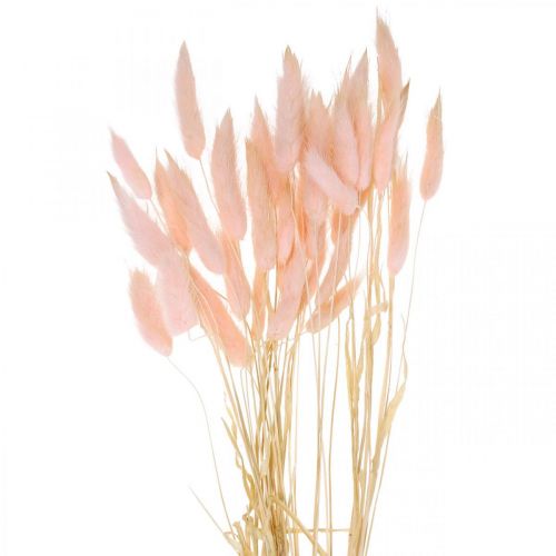 Grama decorativa rosa, Lagurus, decoração natural, floricultura seca C45–50cm 30 peças
