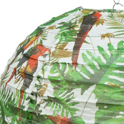 Floristik24 Lanterna de papel com motivo de selva Ø40cm