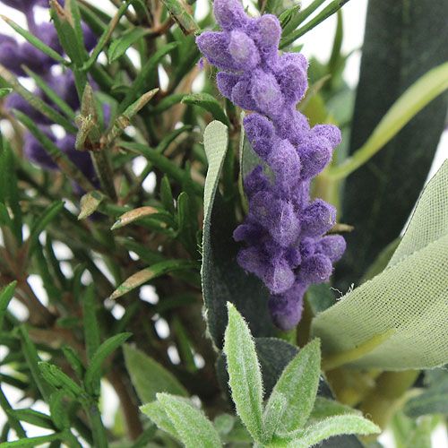 Floristik24 Cacho de alfazema-alecrim 20cm