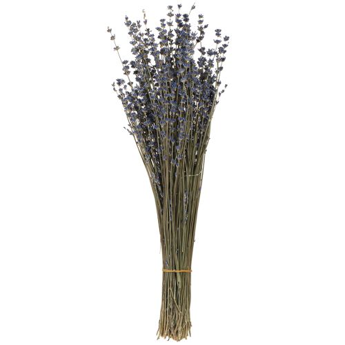 Floristik24 Decoração de flores secas de lavanda natural 100g 40cm 100g × 2 unidades