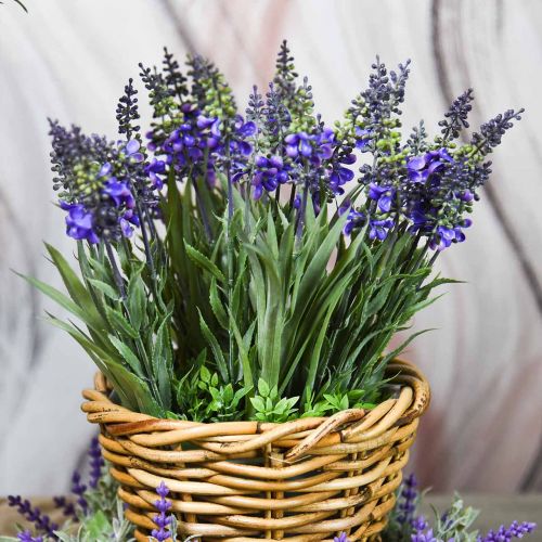 Floristik24 Bando de lavanda artificial com gramíneas 32cm
