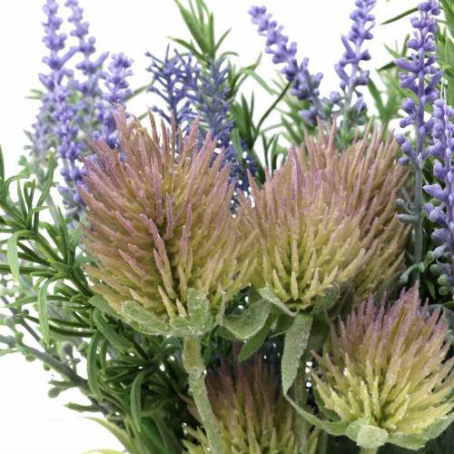 Floristik24 Pacote de ervas lavanda, alecrim, cardo 40cm