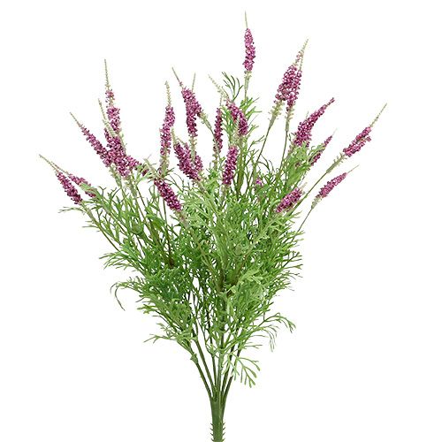 Floristik24 Arbusto de lavanda roxo 43cm