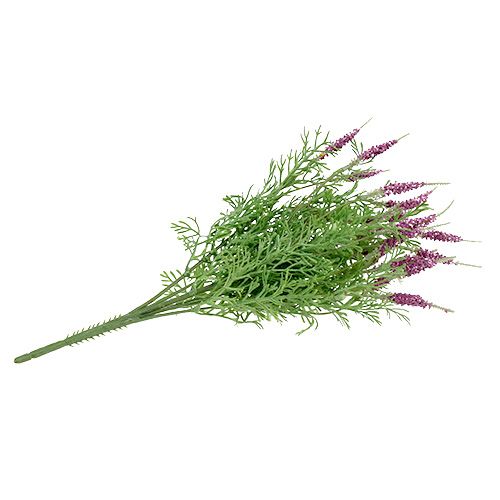 Floristik24 Arbusto de lavanda roxo 43cm