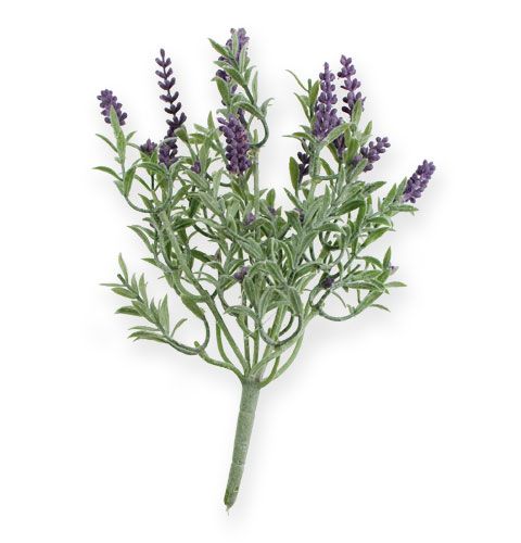 Floristik24 Arbusto decorativo de lavanda 25cm