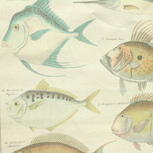 Floristik24 Rolo decorativo feito de linho com peixes 60cm x 72cm