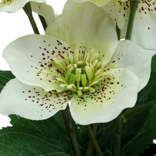 Floristik24 Quaresma rosa Heléboro vaso de rosas de Natal flores artificiais H25cm branco
