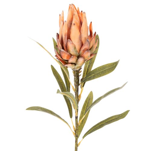 Flor artificial de Protea Leucadendron com haste longa, 65 cm, 3 peças | Floristik24.pt