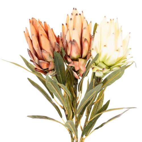 Flor artificial de Protea Leucadendron com haste longa, 65 cm, 3 peças | Floristik24.pt