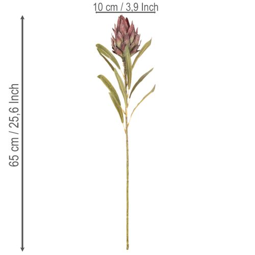 Flor artificial Protea Leucadendron 100cm 3 peças | Floristik24.pt