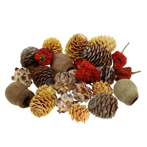 Floristik24 Mix exótico de frutas secas e cones naturais 500g