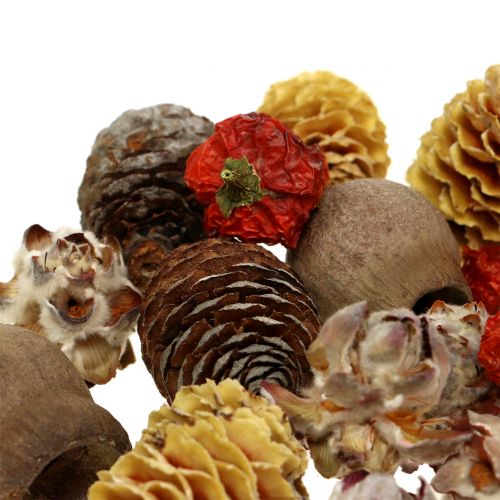 Floristik24 Mix exótico de frutas secas e cones naturais 500g