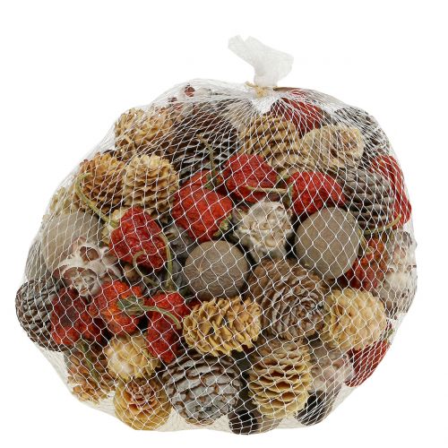 Floristik24 Mix exótico de frutas secas e cones naturais 500g