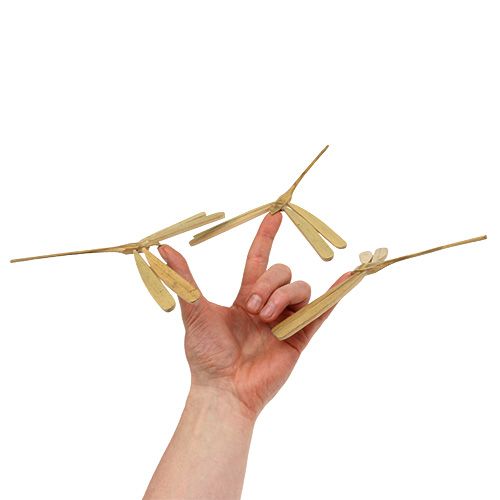 Floristik24 Libélula de bambu balanceada 18 cm x 16 cm 4 unidades