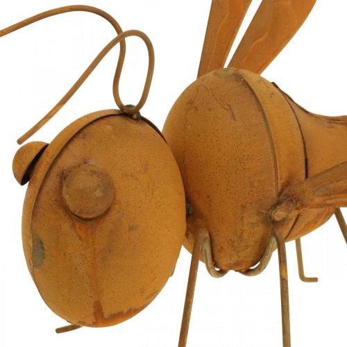 Floristik24 Libélula decorativa, decoração de cama, figura de jardim pátina L28cm H21cm