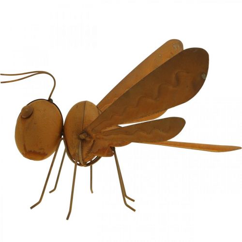 Floristik24 Libélula decorativa, decoração de cama, figura de jardim pátina L28cm H21cm