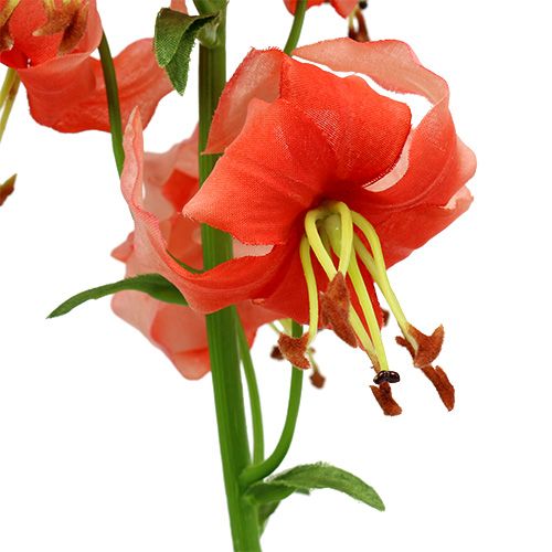 Floristik24 Salmão de 87,5 cm de lírio
