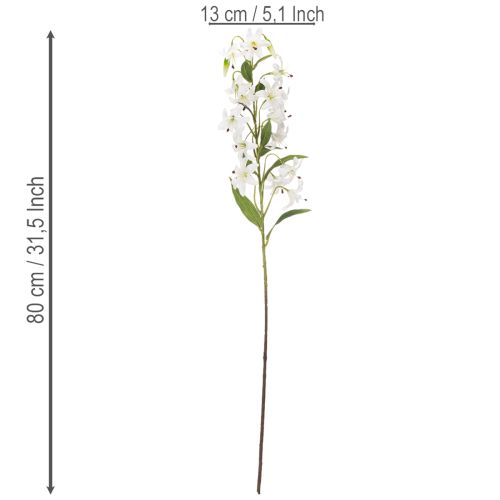  | Floristik24.pt