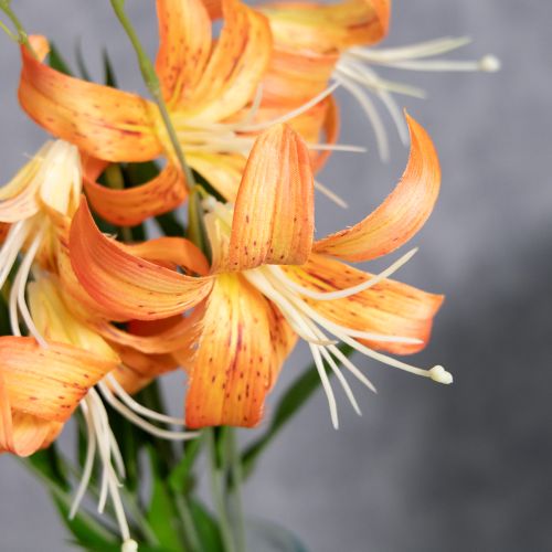 Itens Lírios artificiais, decoração para casamentos e eventos, 77 cm, 4 peças